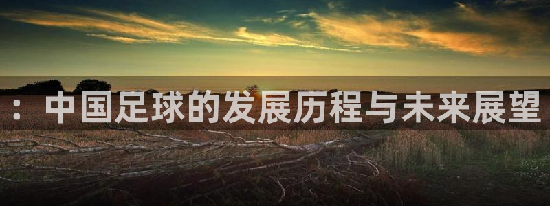 ：中国足球的发展历程与未来展望