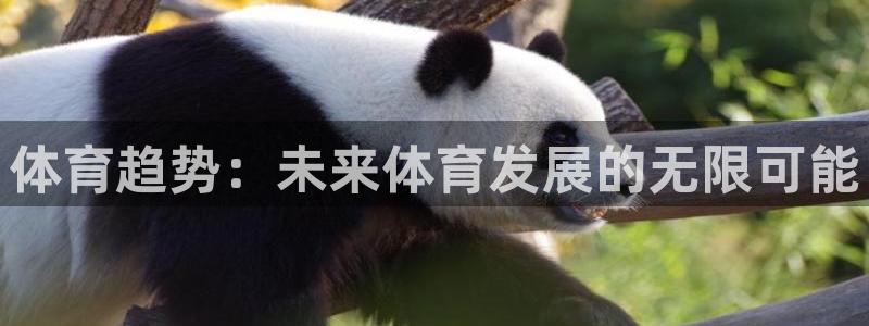 体育趋势：未来体育发展的无限可能