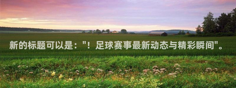 新的标题可以是：\