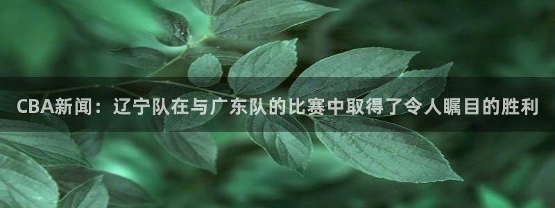 CBA新闻：辽宁队在与广东队的比赛中取得了令人瞩目的胜利