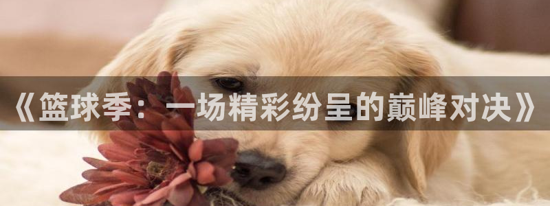 《篮球季：一场精彩纷呈的巅峰对决》