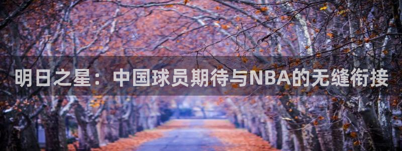 明日之星：中国球员期待与NBA的无缝衔接