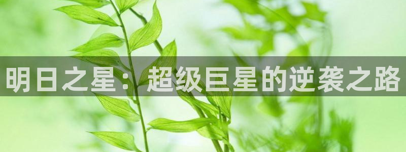 明日之星：超级巨星的逆袭之路