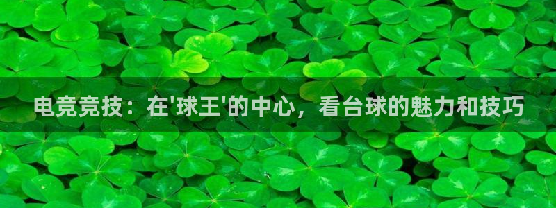电竞竞技：在\'球王\'的中心，看台球的魅力和技巧
