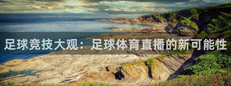 足球竞技大观：足球体育直播的新可能性