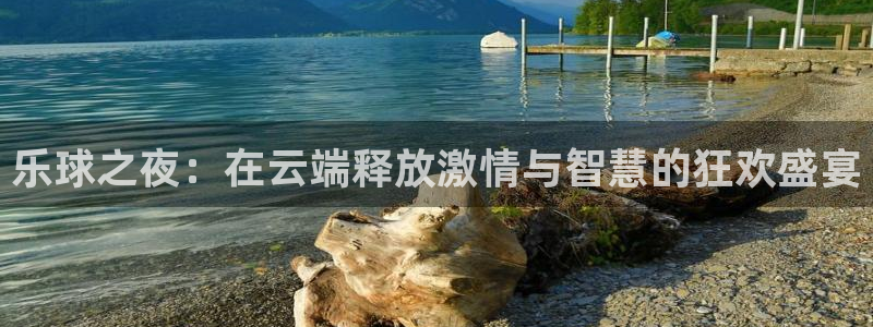 乐球之夜：在云端释放激情与智慧的狂欢盛宴