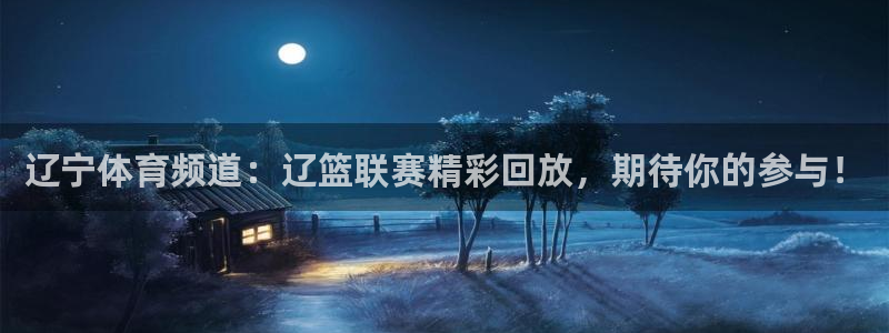 辽宁体育频道：辽篮联赛精彩回放，期待你的参与！
