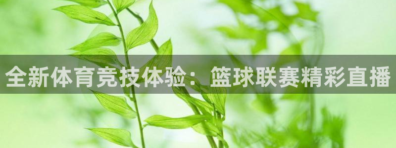 全新体育竞技体验：篮球联赛精彩直播