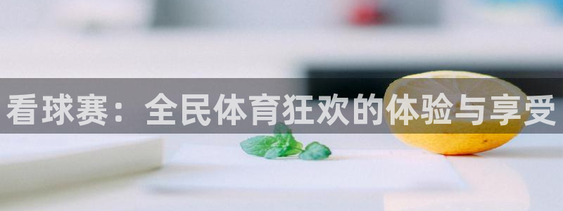 看球赛：全民体育狂欢的体验与享受