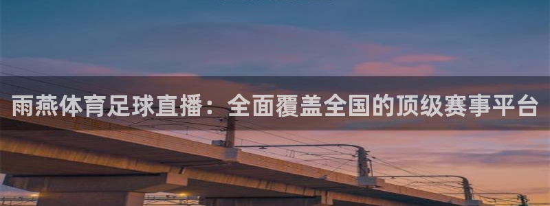 雨燕体育足球直播：全面覆盖全国的顶级赛事平台