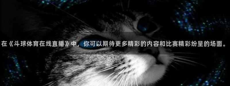 在《斗球体育在线直播》中，你可以期待更多精彩的内容和比赛精彩纷呈的场面。