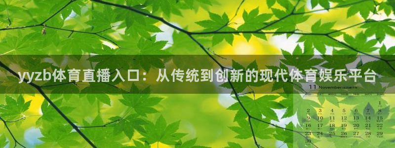 yyzb体育直播入口：从传统到创新的现代体育娱乐平台