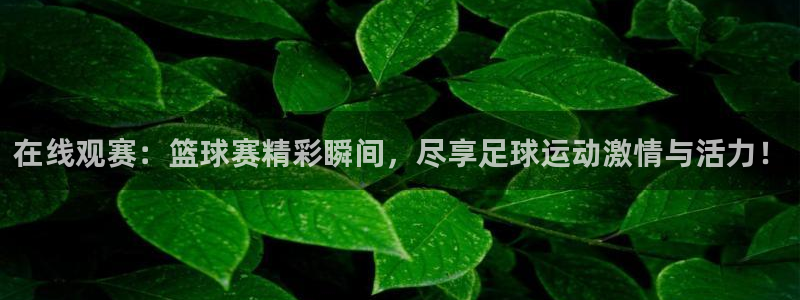 在线观赛：篮球赛精彩瞬间，尽享足球运动激情与活力！