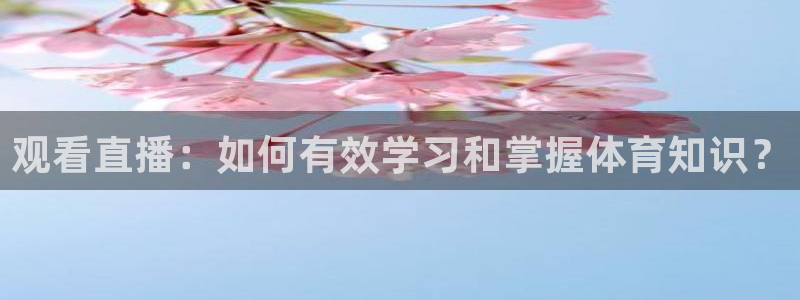 观看直播：如何有效学习和掌握体育知识？