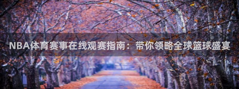NBA体育赛事在线观赛指南：带你领略全球篮球盛宴