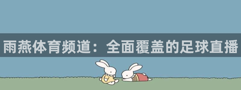 雨燕体育频道：全面覆盖的足球直播
