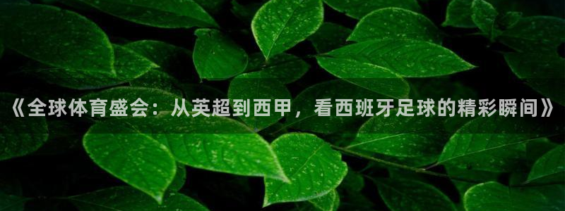 《全球体育盛会：从英超到西甲，看西班牙足球的精彩瞬间》