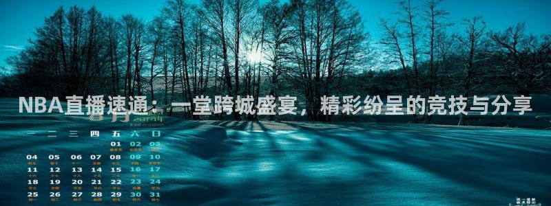 NBA直播速通：一堂跨城盛宴，精彩纷呈的竞技与分享