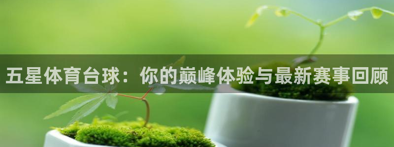五星体育台球：你的巅峰体验与最新赛事回顾