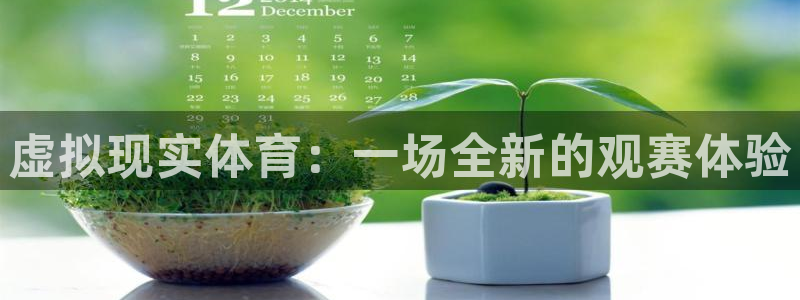 虚拟现实体育：一场全新的观赛体验