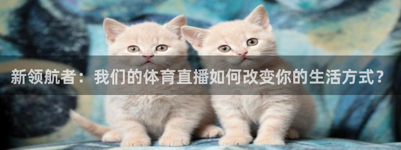 新领航者：我们的体育直播如何改变你的生活方式？