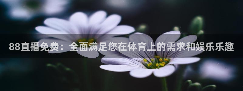 88直播免费：全面满足您在体育上的需求和娱乐乐趣