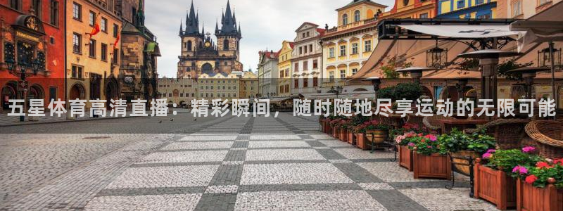 五星体育高清直播：精彩瞬间，随时随地尽享运动的无限可能