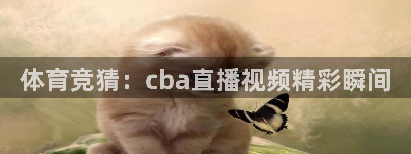 体育竞猜：cba直播视频精彩瞬间