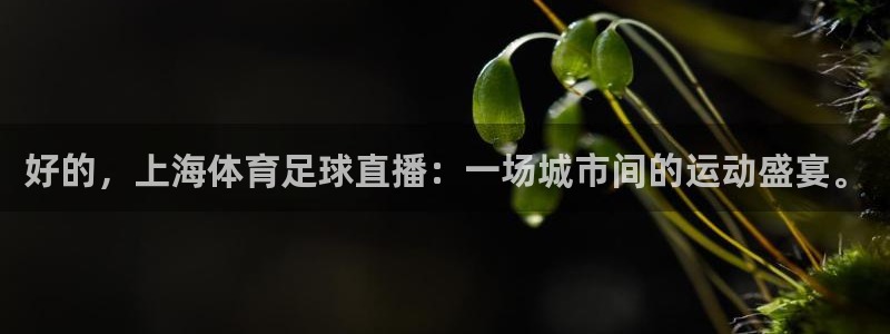 好的，上海体育足球直播：一场城市间的运动盛宴。