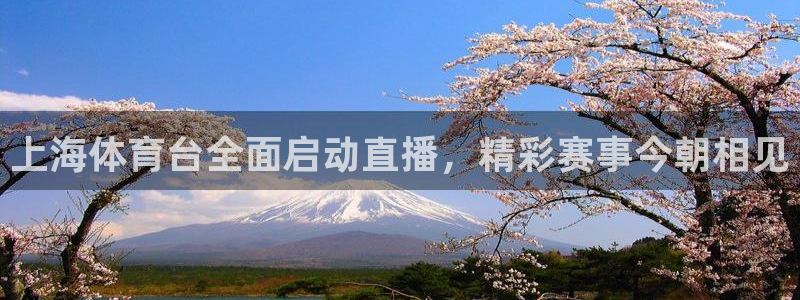 上海体育台全面启动直播，精彩赛事今朝相见
