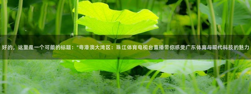 好的，这里是一个可能的标题：\