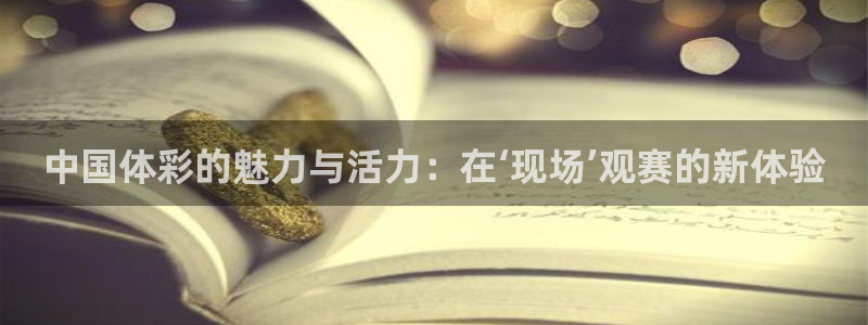 中国体彩的魅力与活力：在‘现场’观赛的新体验