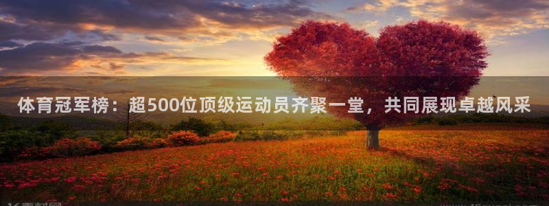 体育冠军榜：超500位顶级运动员齐聚一堂，共同展现卓越风采