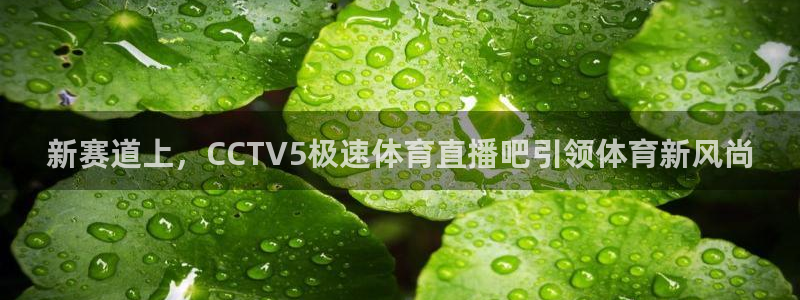 新赛道上，CCTV5极速体育直播吧引领体育新风尚