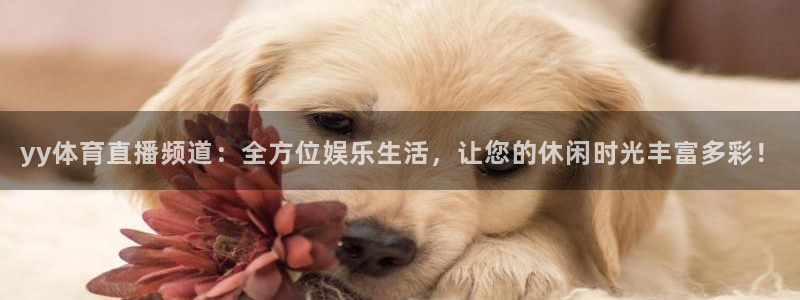 yy体育直播频道：全方位娱乐生活，让您的休闲时光丰富多彩！