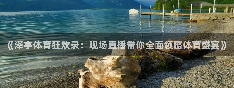《泽宇体育狂欢录：现场直播带你全面领略体育盛宴》