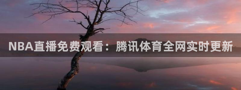 NBA直播免费观看：腾讯体育全网实时更新