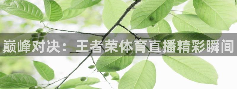 巅峰对决：王者荣体育直播精彩瞬间