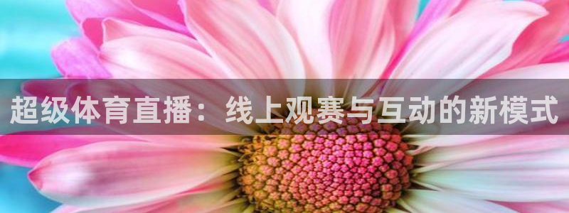 超级体育直播：线上观赛与互动的新模式