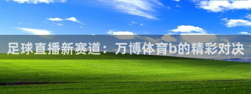 足球直播新赛道：万博体育b的精彩对决