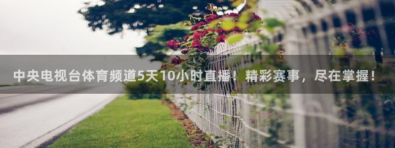 中央电视台体育频道5天10小时直播！精彩赛事，尽在掌握！