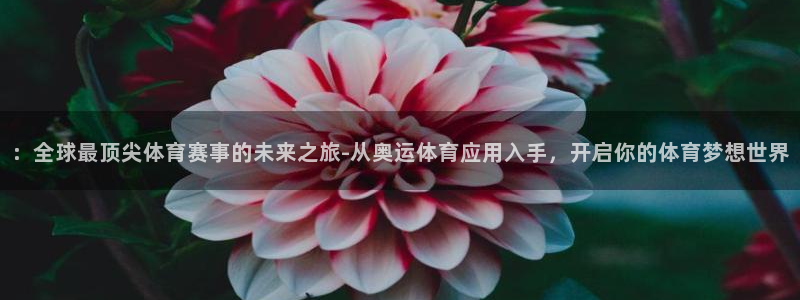 ：全球最顶尖体育赛事的未来之旅-从奥运体育应用入手，开启你的体育梦想世界