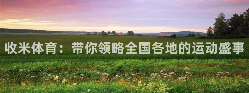 收米体育：带你领略全国各地的运动盛事