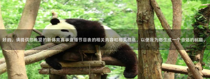 好的，请提供您希望的新体育赛事直播节目表的相关内容和相关信息，以便我为您生成一个合适的标题。